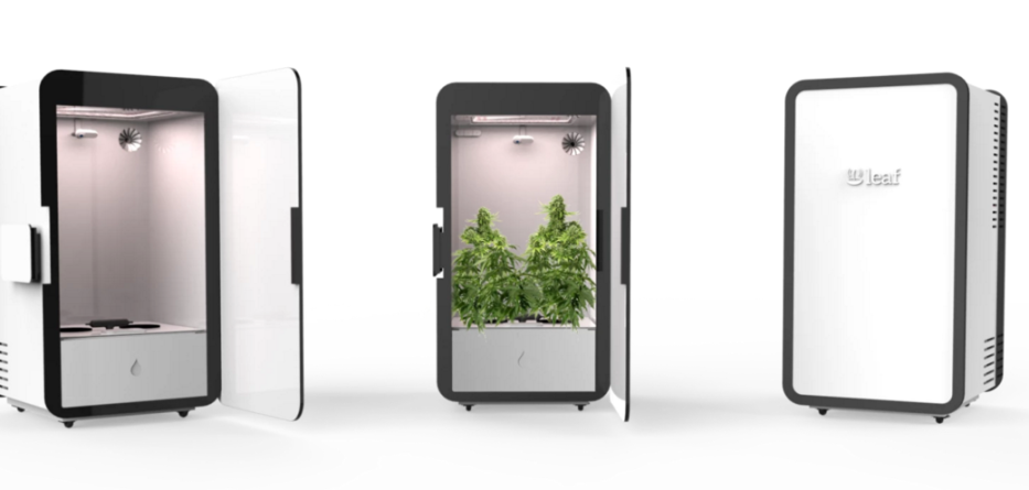 Personal Cannabis Growing Box